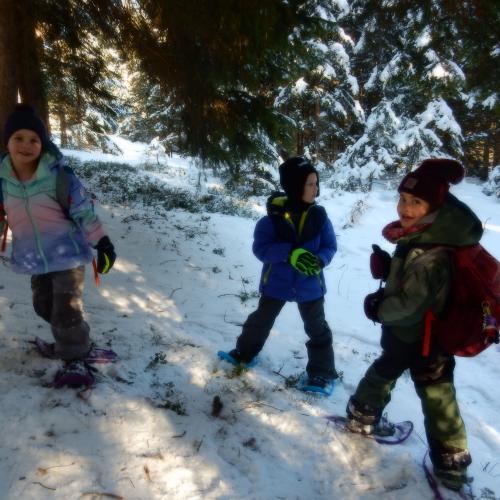 "Spuren im Schnee"