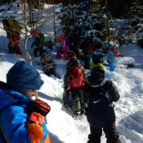 "Spuren im Schnee"