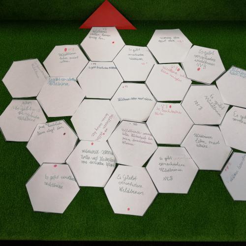 Biene1