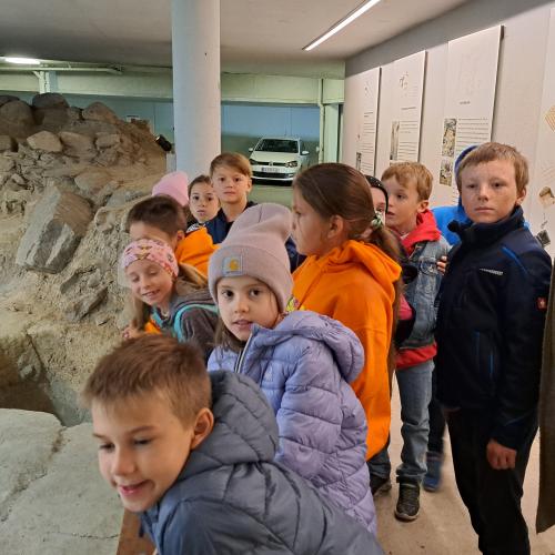 vorfahren14