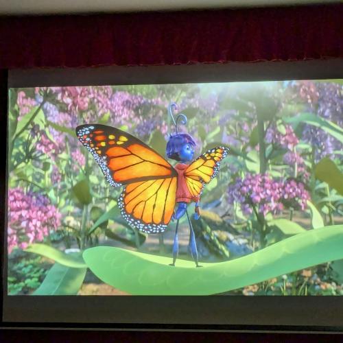 butterfly10