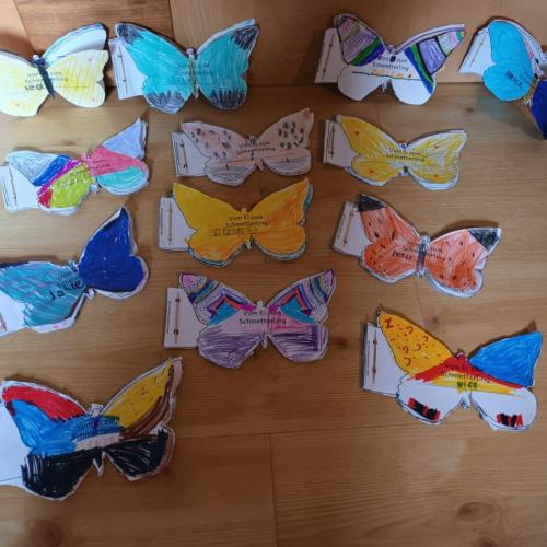 schmetterling25-4