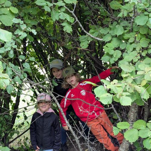 Wandern1.3-8