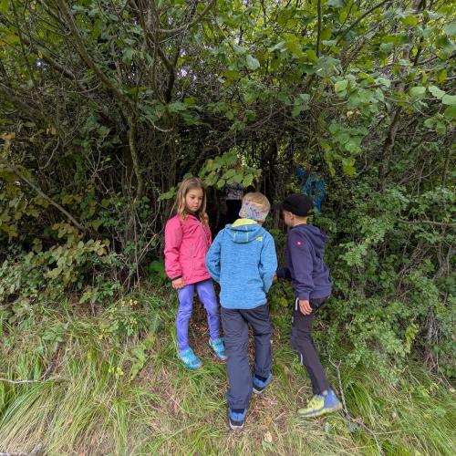 Wandern1.3-9