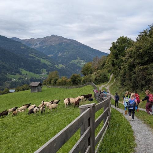 Wandern1.3-7