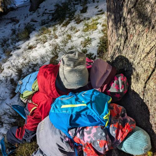 Schneeschuhe25/26-12