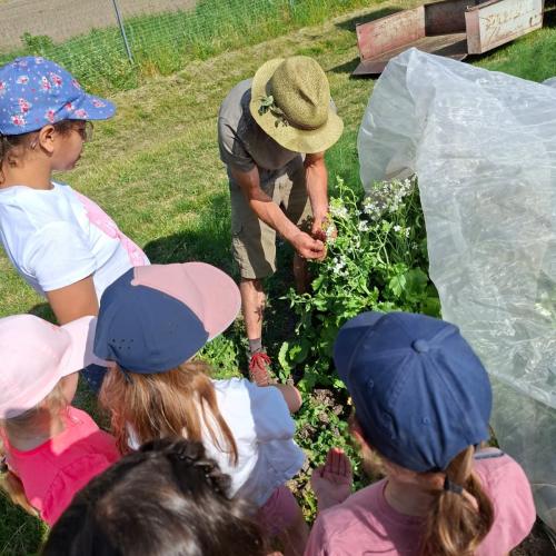 Acker2a-26-14